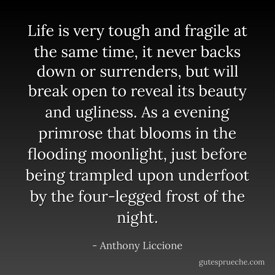 Life is very tough and fragile at the same time, it never backs down or surrenders, but will break open to reveal its beauty and ugliness. As a evening primrose that blooms in the flooding moonlight, just before being trampled upon underfoot by the four-legged frost of the night. - Anthony Liccione