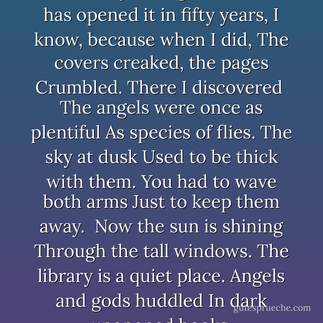 There’s a book called<br />“A Dictionary of Angels.”<br />No one has opened it in fifty years,<br />I know, because when I did,<br />The covers creaked, the pages<br />Crumbled. There I discovered<br /><br />The angels were once as plentiful<br />As species of flies.<br />The sky at dusk<br />Used to be thick with them.<br />You had to wave both arms<br />Just to keep them away.<br /><br />Now the sun is shining<br />Through the tall windows.<br />The library is a quiet place.<br />Angels and gods huddled<br />In dark unopened books. - Charles Simic