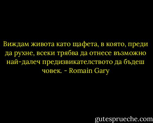 Виждам живота като щафета, в която, преди да рухне, всеки трябва да отнесе възможно най-далеч предизвикателството да бъдеш човек. - Romain Gary