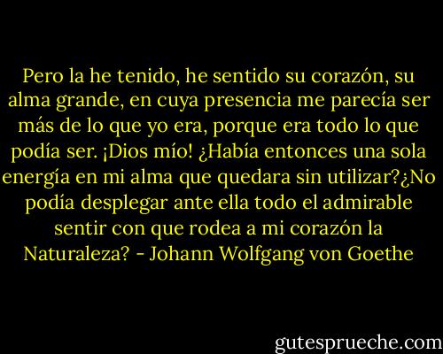 Pero la he tenido, he sentido su corazón, su alma grande, en cuya presencia me parecía ser más de lo que yo era, porque era todo lo que podía ser. ¡Dios mío! ¿Había entonces una sola energía en mi alma que quedara sin utilizar?¿No podía desplegar ante ella todo el admirable sentir con que rodea a mi corazón la Naturaleza? - Johann Wolfgang von Goethe