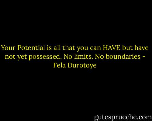 Your Potential is all that you can HAVE but have not yet possessed. No limits. No boundaries - Fela Durotoye