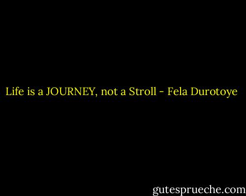 Life is a JOURNEY, not a Stroll - Fela Durotoye