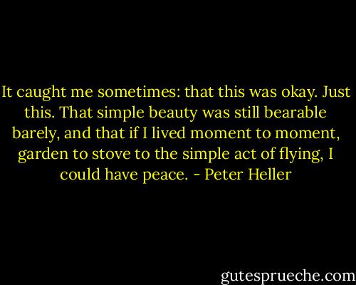 It caught me sometimes: that this was okay. Just this. That simple beauty was still bearable barely, and that if I lived moment to moment, garden to stove to the simple act of flying, I could have peace. - Peter Heller