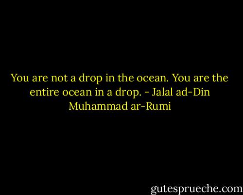 You are not a drop in the ocean. You are the entire ocean in a drop. - Jalal ad-Din Muhammad ar-Rumi