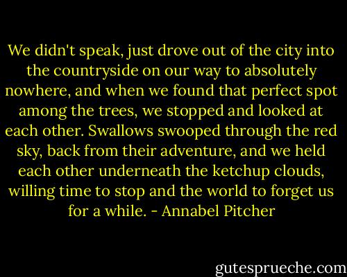 We didn't speak, just drove out of the city into the countryside on our way to absolutely nowhere, and when we found that perfect spot among the trees, we stopped and looked at each other. Swallows swooped through the red sky, back from their adventure, and we held each other underneath the ketchup clouds, willing time to stop and the world to forget us for a while. - Annabel Pitcher
