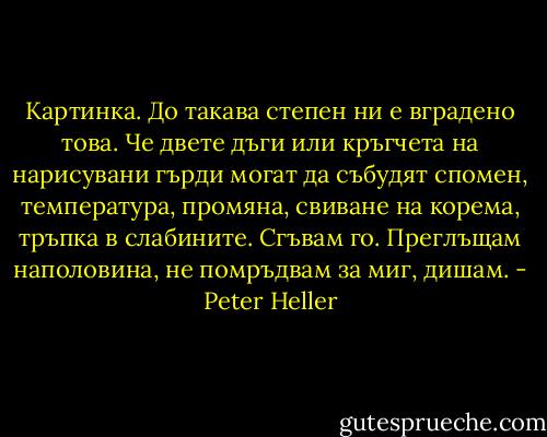 Картинка. До такава степен ни е вградено това. Че двете дъги или кръгчета на нарисувани гърди могат да събудят спомен, температура, промяна, свиване на корема, тръпка в слабините. Сгъвам го. Преглъщам наполовина, не помръдвам за миг, дишам. - Peter Heller