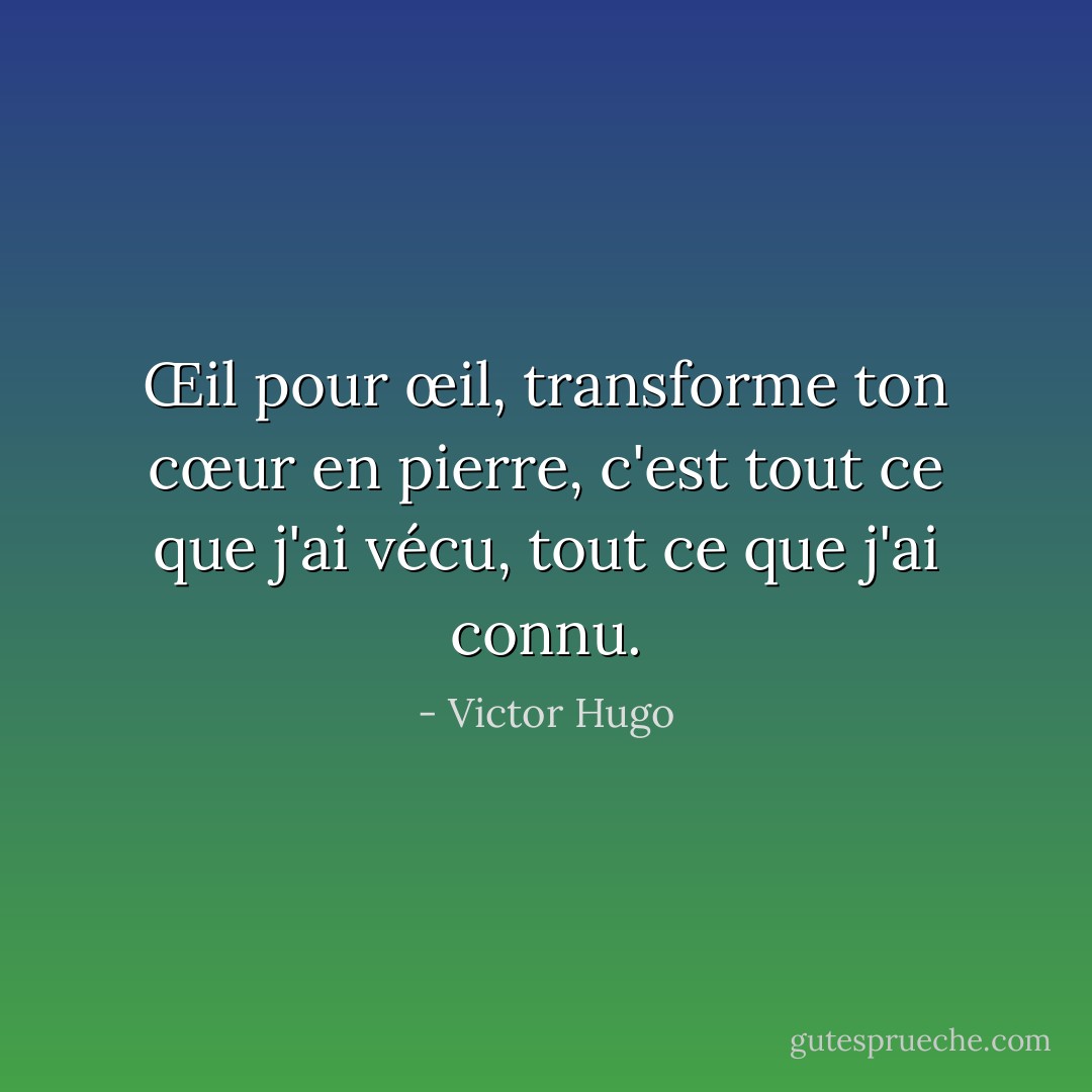 Œil pour œil, transforme ton cœur en pierre, c'est tout ce que j'ai vécu, tout ce que j'ai connu. - Victor Hugo