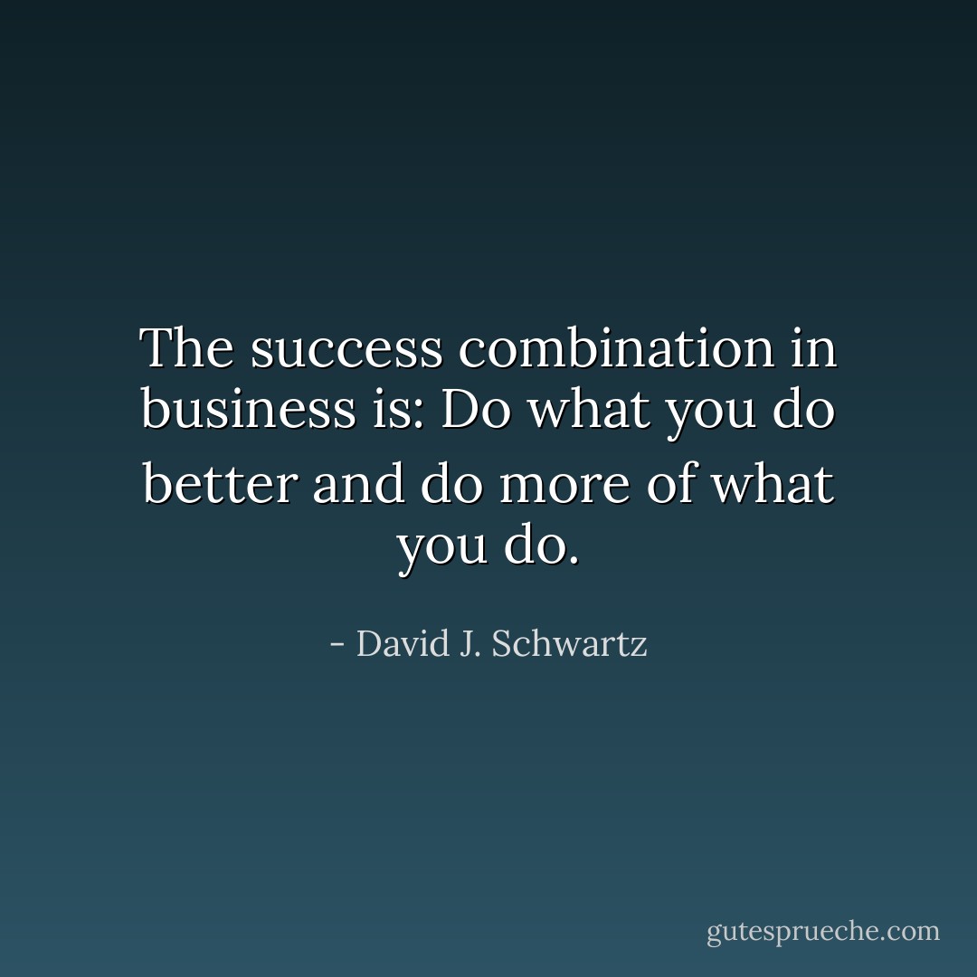 The success combination in business is: Do what you do better and do more of what you do. - David J. Schwartz