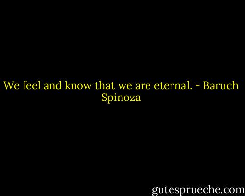 We feel and know that we are eternal. - Baruch Spinoza