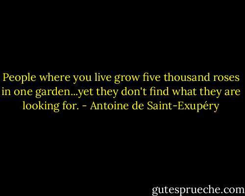 People where you live grow five thousand roses in one garden...yet they don't find what they are looking for. - Antoine de Saint-Exupéry