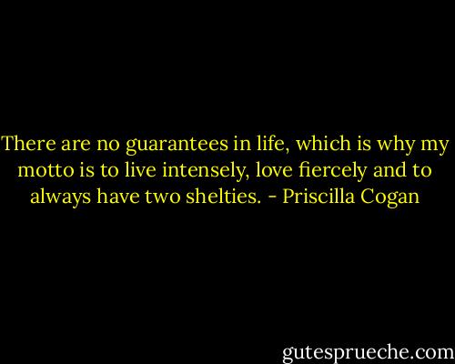There are no guarantees in life, which is why my motto is to live intensely, love fiercely and to always have two shelties. - Priscilla Cogan