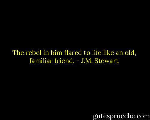 The rebel in him flared to life like an old, familiar friend. - J.M. Stewart