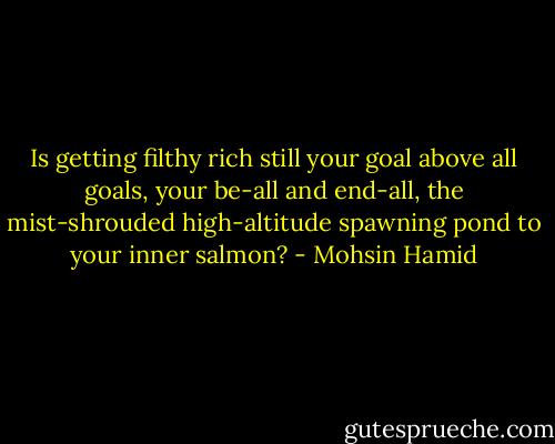 Is getting filthy rich still your goal above all goals, your be-all and end-all, the mist-shrouded high-altitude spawning pond to your inner salmon? - Mohsin Hamid