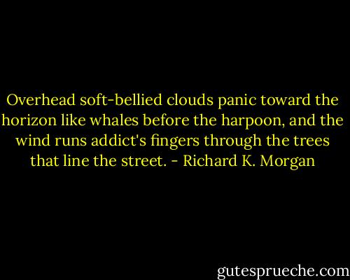 Overhead soft-bellied clouds panic toward the horizon like whales before the harpoon, and the wind runs addict's fingers through the trees that line the street. - Richard K. Morgan