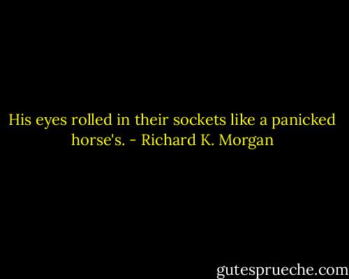 His eyes rolled in their sockets like a panicked horse's. - Richard K. Morgan