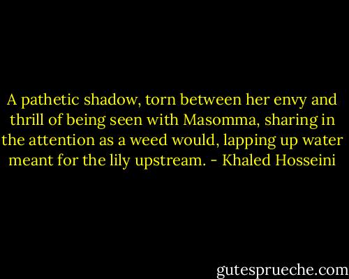 A pathetic shadow, torn between her envy and thrill of being seen with Masomma, sharing in the attention as a weed would, lapping up water meant for the lily upstream. - Khaled Hosseini