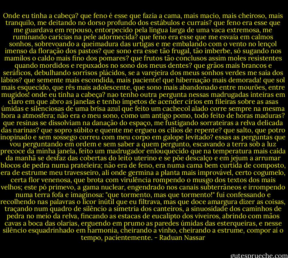 Onde eu tinha a cabeça? que feno é esse que fazia a cama, mais macio, mais cheiroso, mais tranquilo, me deitando no dorso profundo dos estábulos e currais? que feno era esse que me guardava em repouso, entorpecido pela língua larga de uma vaca extremosa, me ruminando carícias na pele adormecida? que feno era esse que me esvaía em calmos sonhos, sobrevoando a queimadura das urtigas e me embalando com o vento no lençol imenso da floração dos pastos? que sono era esse tão frugal, tão imberbe, só sugando nos mamilos o caldo mais fino dos pomares? que frutos tão conclusos assim moles resistentes quando mordidos e repuxados no sono dos meus dentes? que grãos mais brancos e seráficos, debulhando sorrisos plácidos, se a varejeira dos meus sonhos verdes me saía dos lábios? que semente mais escondida, mais paciente! que hibernação mais demorada! que sol mais esquecido, que rês mais adolescente, que sono mais abandonado entre mourões, entre mugidos! onde eu tinha a cabeça? nao tenho outra pergunta nessas madrugadas inteiras em claro em que abro as janelas e tenho ímpetos de acender círios em fileiras sobre as asas úmidas e silenciosas de uma brisa azul que feito um cachecol alado corre sempre na mesma hora a atmosfera; não era o meu sono, como um antigo pomo, todo feito de horas maduras? que resinas se dissolviam na danação do espaço, me fustigando sorrateiras a relva delicada das narinas? que sopro súbito e quente me ergueu os cílios de repente? que salto, que potro inopinado e sem sossego correu com meu corpo em galope levitado? essas as perguntas que vou perguntando em ordem e sem saber a quem pergunto, escavando a terra sob a luz precoce da minha janela, feito um madrugador enlouquecido que na temperatura mais caída da manhã se desfaz das cobertas do leito uterino e se põe descalço e em jejum a arrumar blocos de pedra numa prateleira; não era de feno, era numa cama bem curtida de composto, era de estrume meu travesseiro, ali onde germina a planta mais improvável, certo cogumelo, certa flor venenosa, que brota com virulência rompendo o musgo dos textos dos mais velhos; este pó primevo, a gama nuclear, engendrado nos canais subterrâneos e irrompendo numa terra fofa e imaginosa: "que tormento, mas que tormento!" fui confessando e recolhendo nas palavras o licor inútil que eu filtrava, mas que doce amargura dizer as coisas, traçando num quadro de silêncio a simetria dos canteiros, a sinuosidade dos caminhos de pedra no meio da relva, fincando as estacas de eucalipto dos viveiros, abrindo com mãos cavas a boca das olarias, erguendo em prumo as paredes úmidas das esterqueiras, e nesse silêncio esquadrinhado em harmonia, cheirando a vinho, cheirando a estrume, compor aí o tempo, pacientemente. - Raduan Nassar