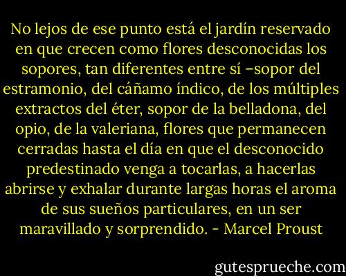 No lejos de ese punto está el jardín reservado en que crecen como flores desconocidas los sopores, tan diferentes entre sí –sopor del estramonio, del cáñamo índico, de los múltiples extractos del éter, sopor de la belladona, del opio, de la valeriana, flores que permanecen cerradas hasta el día en que el desconocido predestinado venga a tocarlas, a hacerlas abrirse y exhalar durante largas horas el aroma de sus sueños particulares, en un ser maravillado y sorprendido. - Marcel Proust