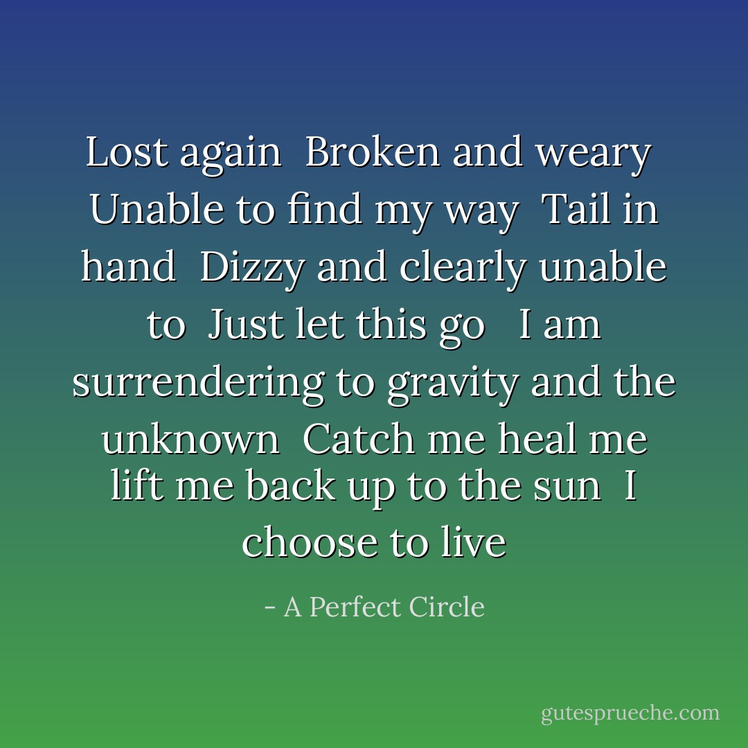 Lost again<br /> Broken and weary<br /> Unable to find my way<br /> Tail in hand<br /> Dizzy and clearly unable to<br /> Just let this go<br /><br /> I am surrendering to gravity and the unknown<br /> Catch me heal me lift me back up to the sun<br /> I choose to live - A Perfect Circle