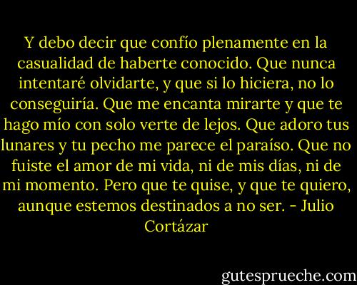 Y debo decir que confío plenamente en la casualidad de haberte conocido. Que nunca intentaré olvidarte, y que si lo hiciera, no lo conseguiría. Que me encanta mirarte y que te hago mío con solo verte de lejos. Que adoro tus lunares y tu pecho me parece el paraíso. Que no fuiste el amor de mi vida, ni de mis días, ni de mi momento. Pero que te quise, y que te quiero, aunque estemos destinados a no ser. - Julio Cortázar