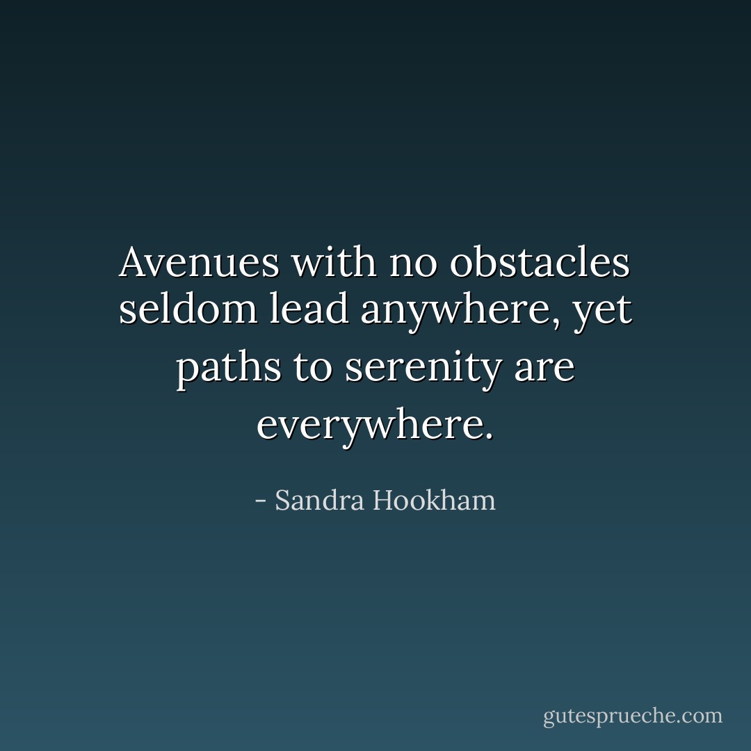 Avenues with no obstacles seldom lead anywhere, yet paths to serenity are everywhere. - Sandra Hookham