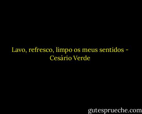 Lavo, refresco, limpo os meus sentidos - Cesário Verde