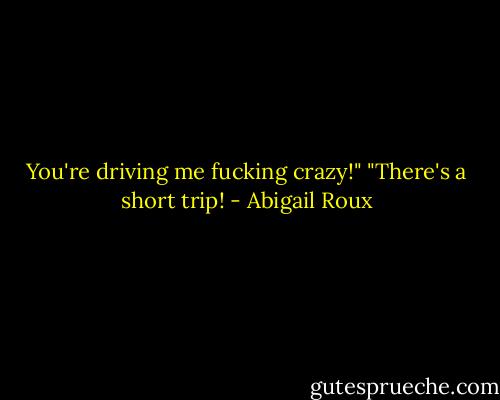 You're driving me fucking crazy!"<br />"There's a short trip! - Abigail Roux