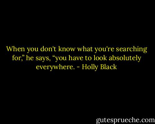 When you don't know what you're searching for,” he says, “you have to look absolutely everywhere. - Holly Black