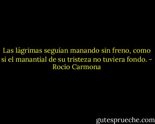 Las lágrimas seguían manando sin freno, como si el manantial de su tristeza no tuviera fondo. - Rocío Carmona
