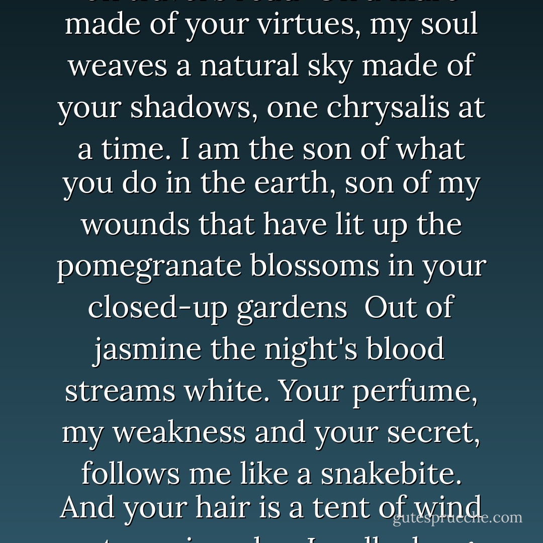 Sonnet V<br />I touch you as a lonely violin touches the suburbs of the faraway place<br />patiently the river asks for its share of the drizzle<br />and, bit by bit, a tomorrow passing in poems approaches<br />so I carry faraway's land and it carries me on travel's road<br /><br />On a mare made of your virtues, my soul weaves<br />a natural sky made of your shadows, one chrysalis at a time.<br />I am the son of what you do in the earth, son of my wounds<br />that have lit up the pomegranate blossoms in your closed-up gardens<br /><br />Out of jasmine the night's blood streams white. Your perfume,<br />my weakness and your secret, follows me like a snakebite. And your hair<br />is a tent of wind autumn in color. I walk along with speech<br />to the last of the words a bedouin told a pair of doves<br /><br />I palpate you as a violin palpates the silk of the faraway time<br />and around me and you sprouts the grass of an ancient place—anew - Mahmoud Darwish