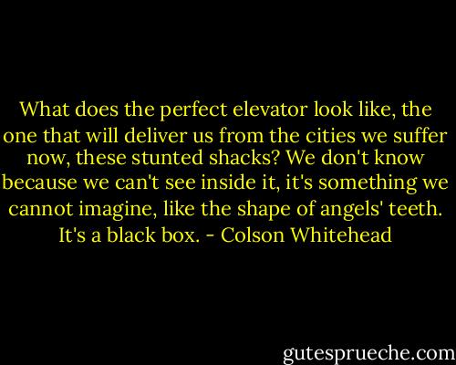What does the perfect elevator look like, the one that will deliver us from the cities we suffer now, these stunted shacks? We don't know because we can't see inside it, it's something we cannot imagine, like the shape of angels' teeth. It's a black box. - Colson Whitehead
