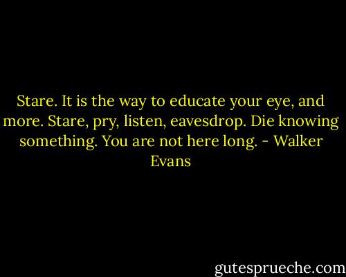 Stare. It is the way to educate your eye, and more. Stare, pry, listen, eavesdrop. Die knowing something. You are not here long. - Walker Evans
