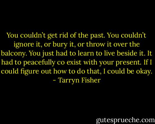 You couldn’t get rid of the past. You couldn’t ignore it, or bury it, or throw it over the balcony. You just had to learn to live beside it. It had to peacefully co exist with your present. If I could figure out how to do that, I could be okay. - Tarryn Fisher