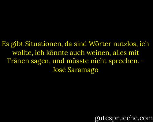 Es gibt Situationen, da sind Wörter nutzlos, ich wollte, ich könnte auch weinen, alles mit Tränen sagen, und müsste nicht sprechen. - José Saramago