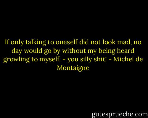 If only talking to oneself did not look mad, no day would go by without my being heard growling to myself. - you silly shit! - Michel de Montaigne