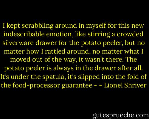 I kept scrabbling around in myself for this new indescribable emotion, like stirring a crowded silverware drawer for the potato peeler, but no matter how I rattled around, no matter what I moved out of the way, it wasn’t there. The potato peeler is always in the drawer after all. It’s under the spatula, it’s slipped into the fold of the food-processor guarantee - - Lionel Shriver