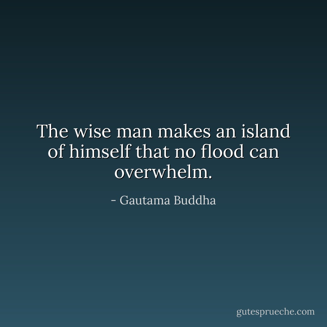 The wise man makes an island of himself that no flood can overwhelm. - Gautama Buddha