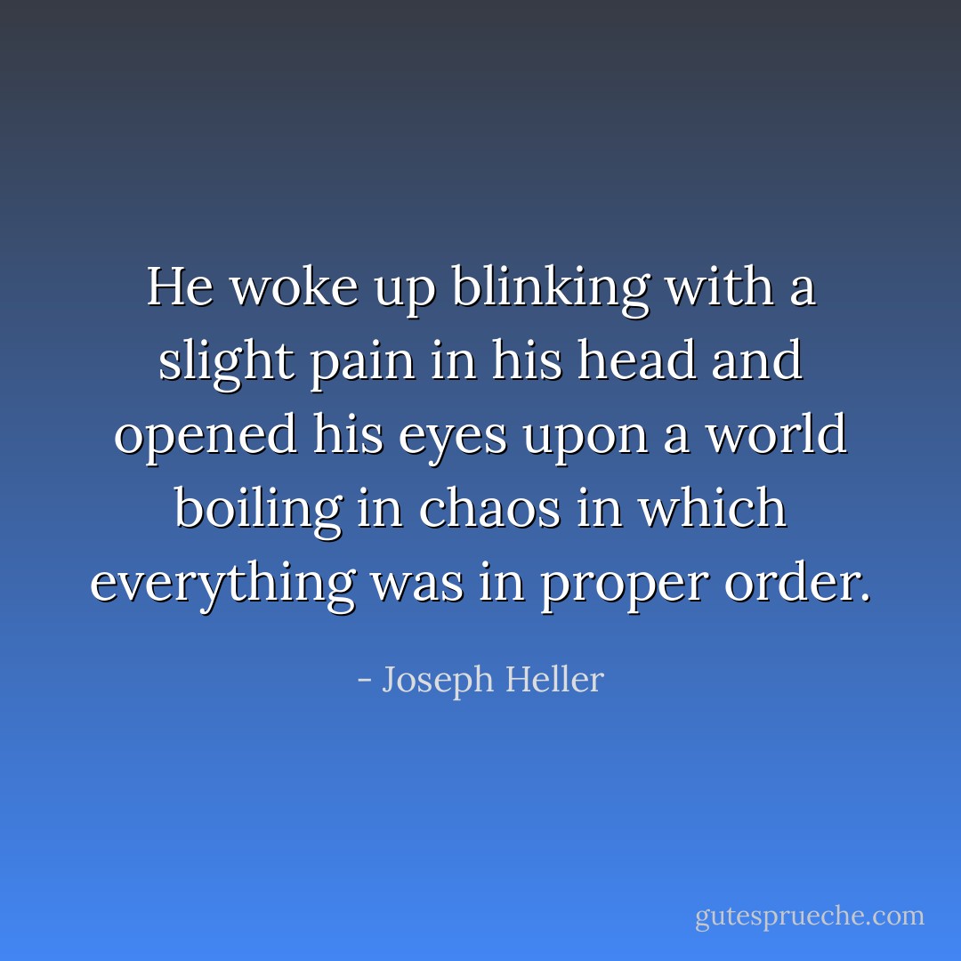 He woke up blinking with a slight pain in his head and opened his eyes upon a world boiling in chaos in which everything was in proper order. - Joseph Heller