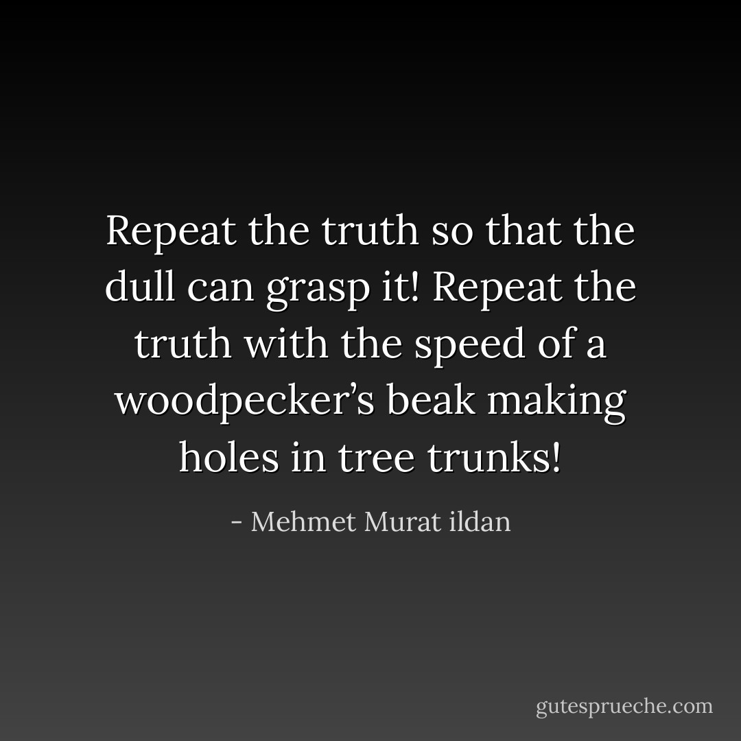 Repeat the truth so that the dull can grasp it! Repeat the truth with the speed of a woodpecker’s beak making holes in tree trunks! - Mehmet Murat ildan