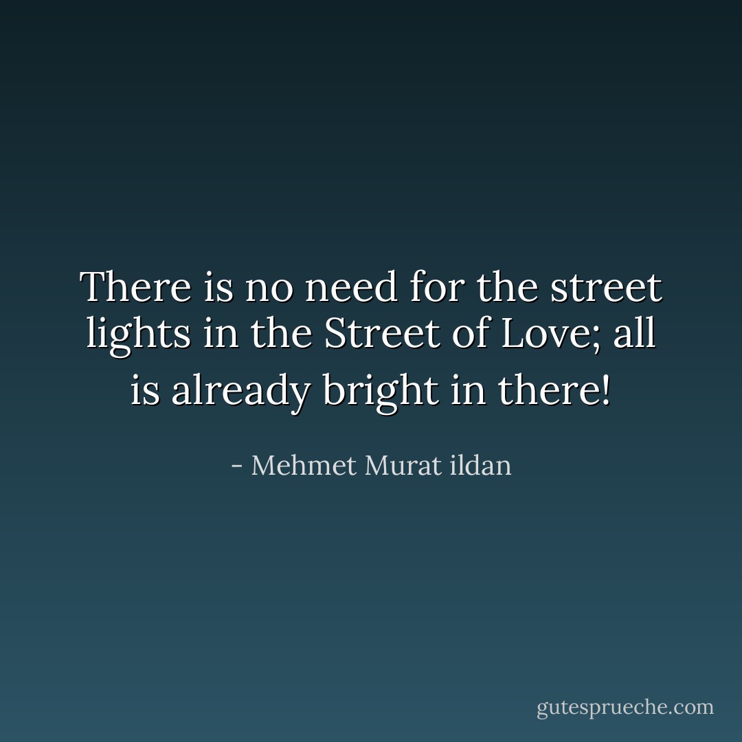 There is no need for the street lights in the Street of Love; all is already bright in there! - Mehmet Murat ildan