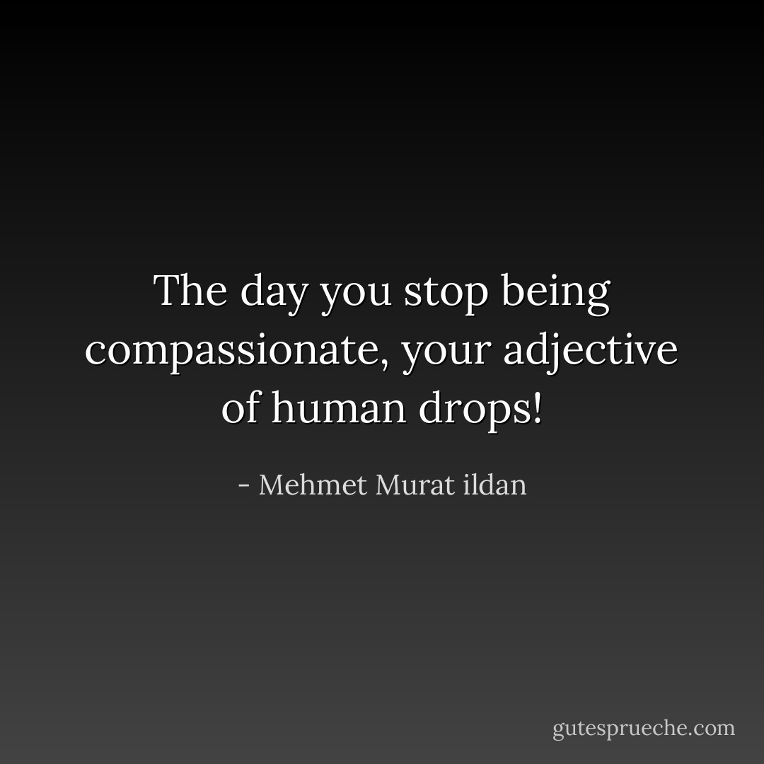 The day you stop being compassionate, your adjective of human drops! - Mehmet Murat ildan