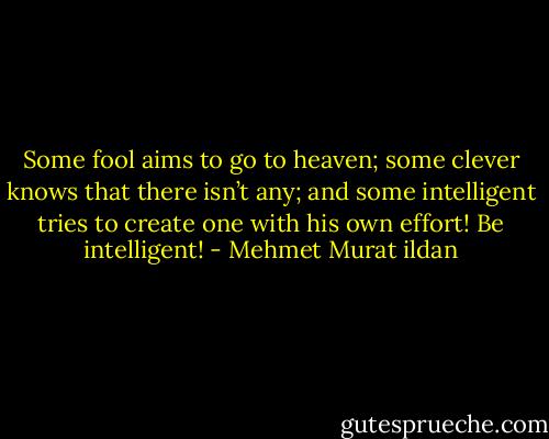 Some fool aims to go to heaven; some clever knows that there isn’t any; and some intelligent tries to create one with his own effort! Be intelligent! - Mehmet Murat ildan