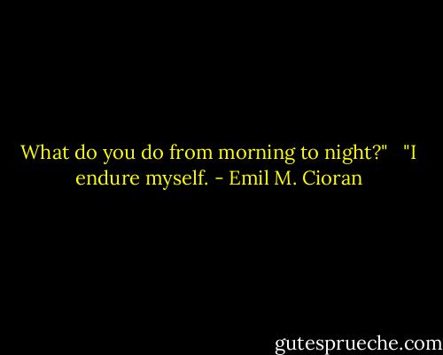 What do you do from morning to night?"<br /><br /> "I endure myself. - Emil M. Cioran