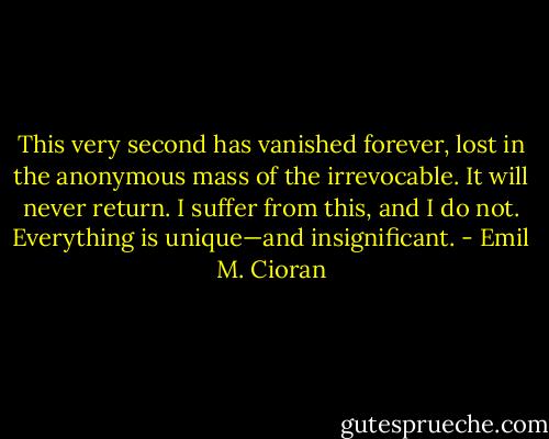 This very second has vanished forever, lost in the anonymous mass of the irrevocable. It will never return. I suffer from this, and I do not. Everything is unique—and insignificant. - Emil M. Cioran
