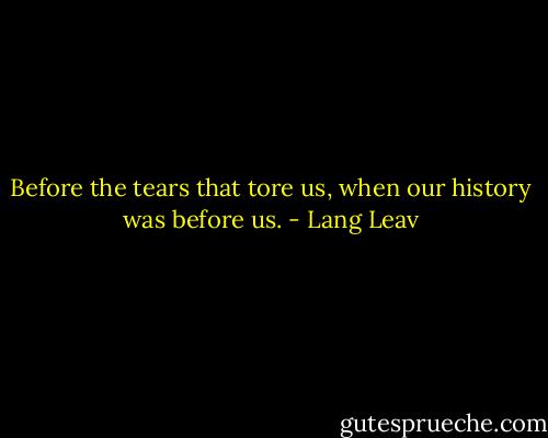 Before the tears that tore us, when our history was before us. - Lang Leav
