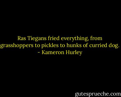 Ras Tiegans fried everything, from grasshoppers to pickles to hunks of curried dog. - Kameron Hurley