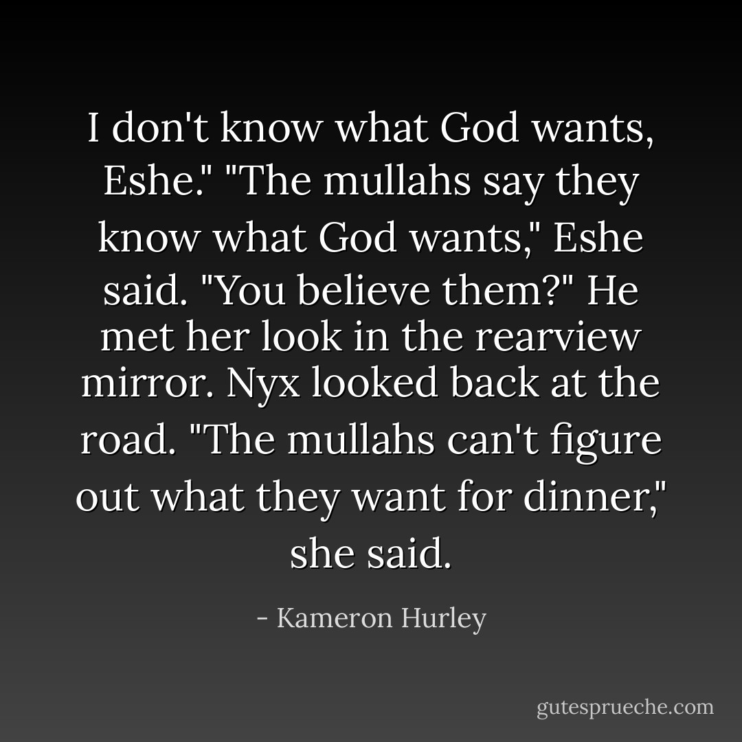 I don't know what God wants, Eshe."<br />"The mullahs say they know what God wants," Eshe said. "You believe them?" He met her look in the rearview mirror.<br />Nyx looked back at the road. "The mullahs can't figure out what they want for dinner," she said. - Kameron Hurley