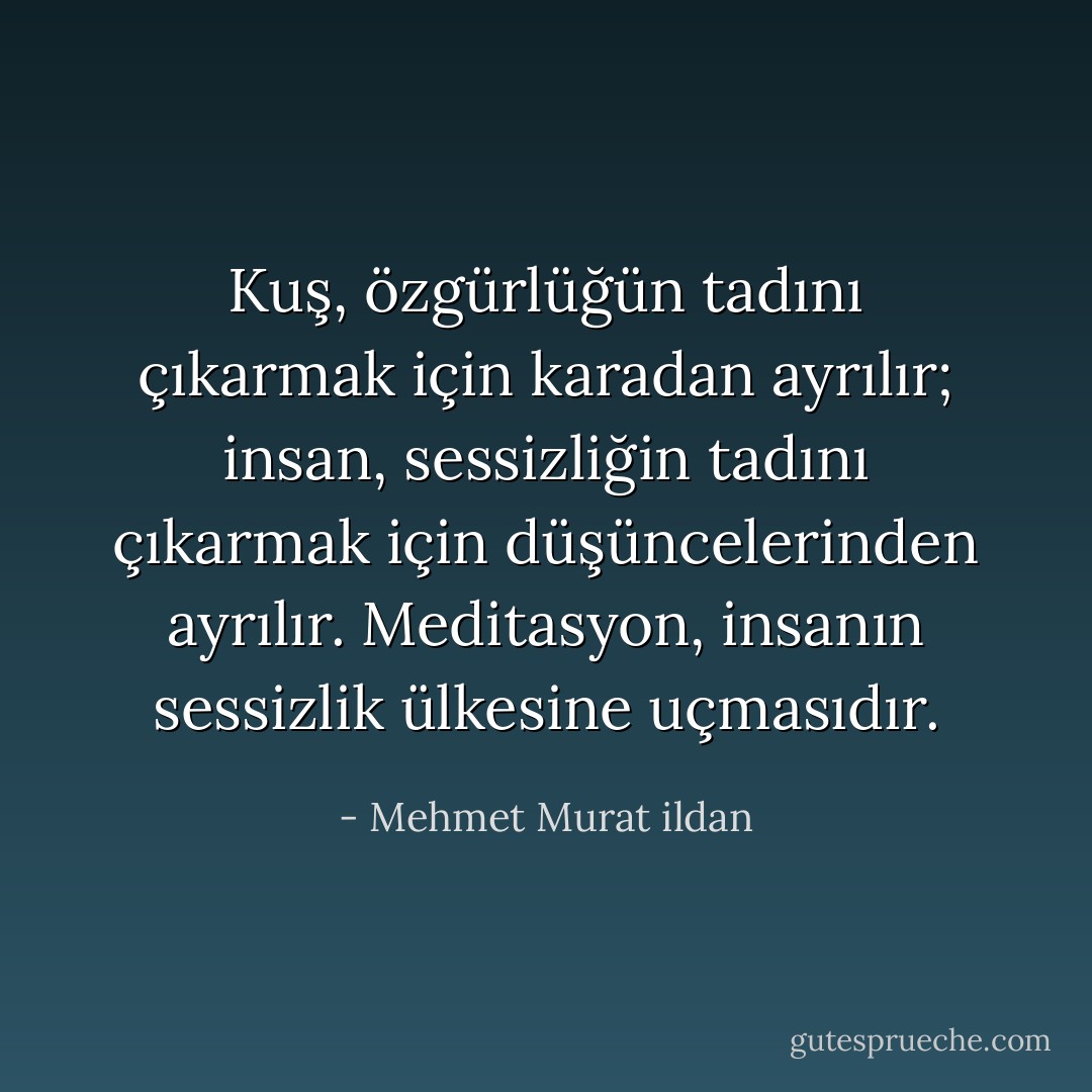 Kuş, özgürlüğün tadını çıkarmak için karadan ayrılır; insan, sessizliğin tadını çıkarmak için düşüncelerinden ayrılır. Meditasyon, insanın sessizlik ülkesine uçmasıdır. - Mehmet Murat ildan