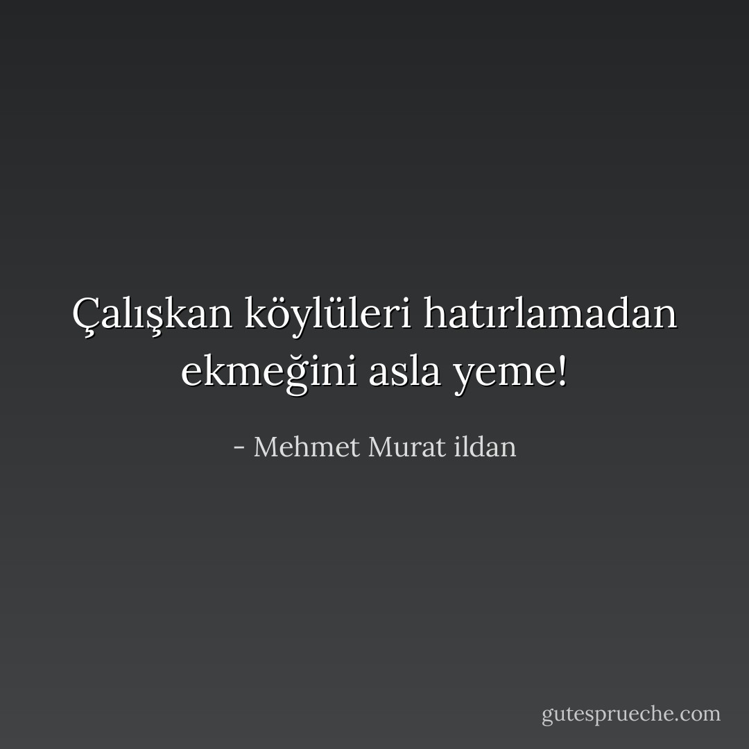 Çalışkan köylüleri hatırlamadan ekmeğini asla yeme! - Mehmet Murat ildan