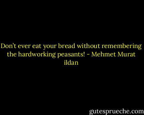 Don’t ever eat your bread without remembering the hardworking peasants! - Mehmet Murat ildan